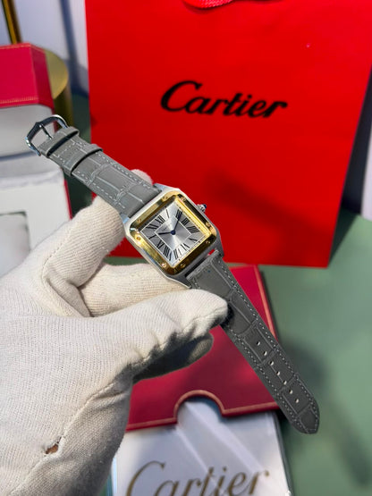 Cartier Demon
